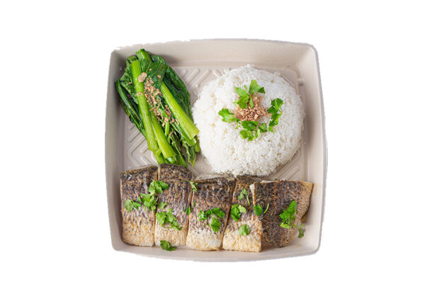 Barramundi