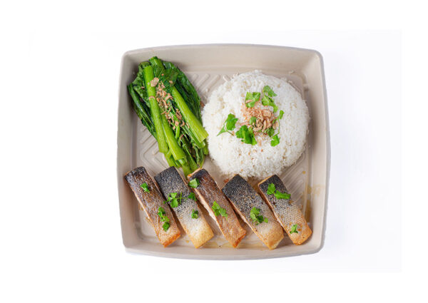 Salmon